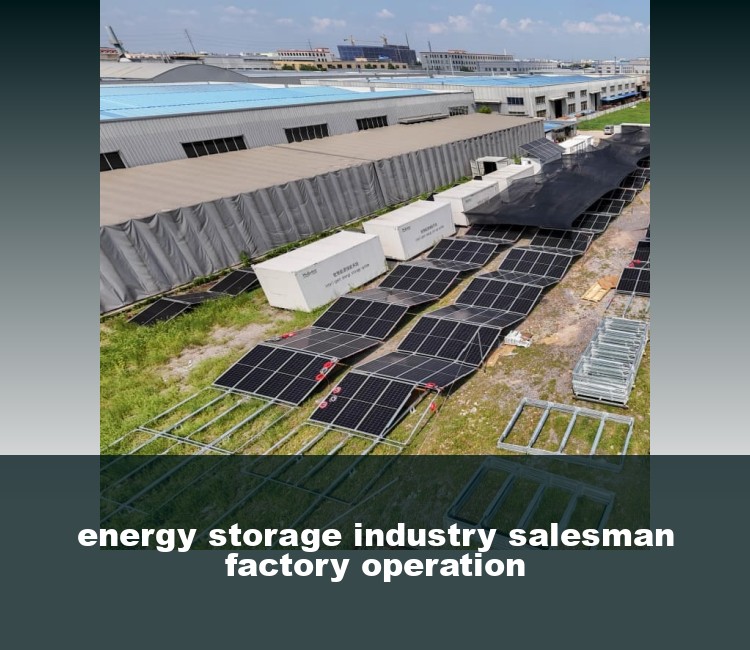 energy storage industry salesman factory operation