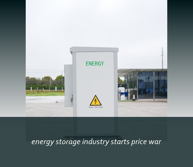 energy storage industry starts price war