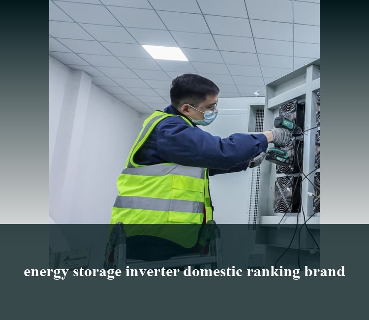 energy storage inverter domestic ranking brand