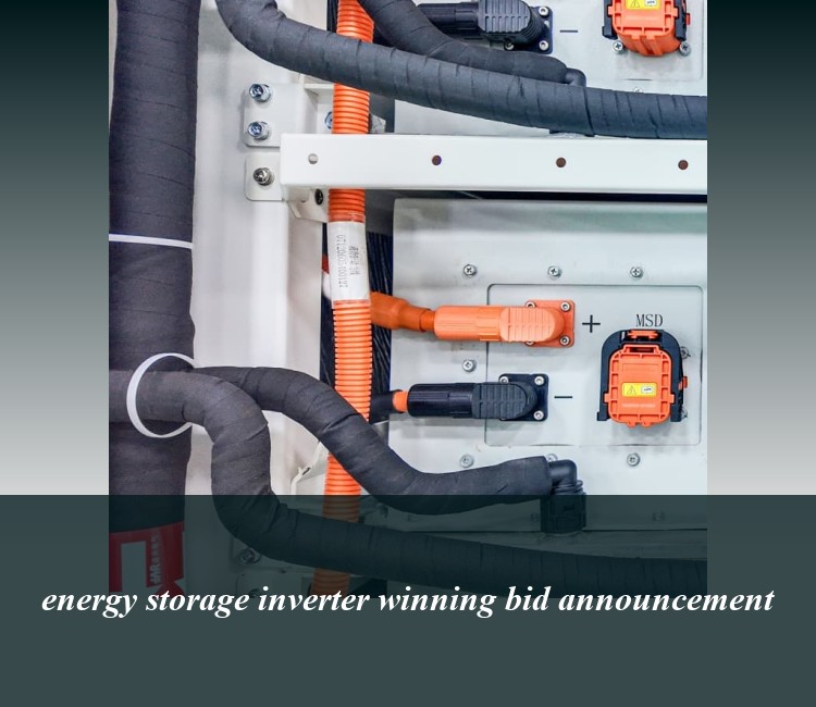 energy storage inverter winning bid announcement
