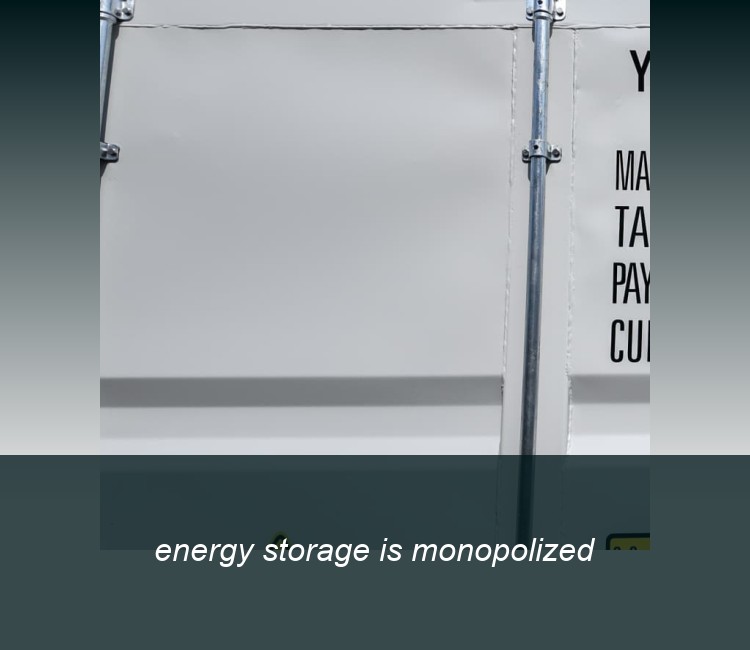 energy storage is monopolized
