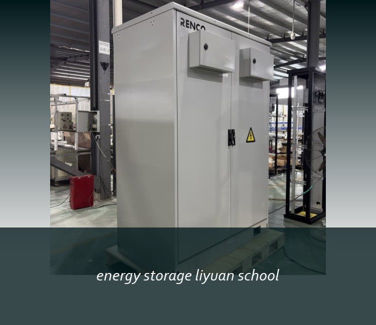 energy storage liyuan school