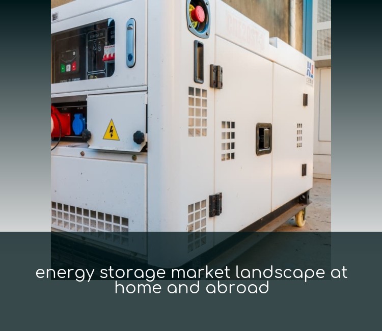 energy storage market landscape at home and abroad