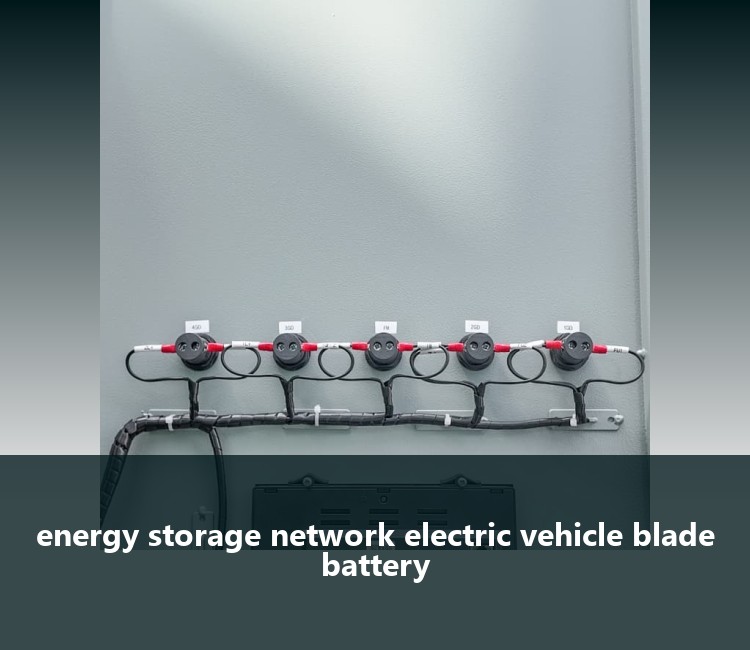 energy storage network electric vehicle blade battery