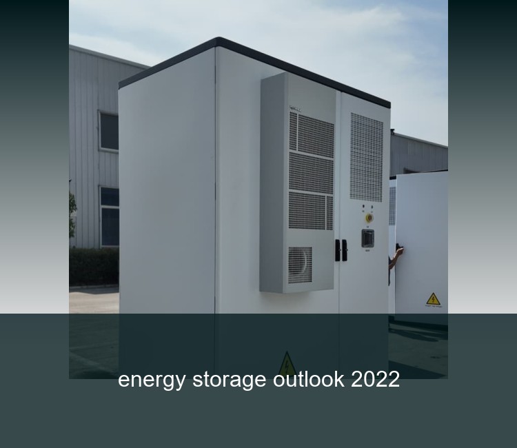 energy storage outlook 2022