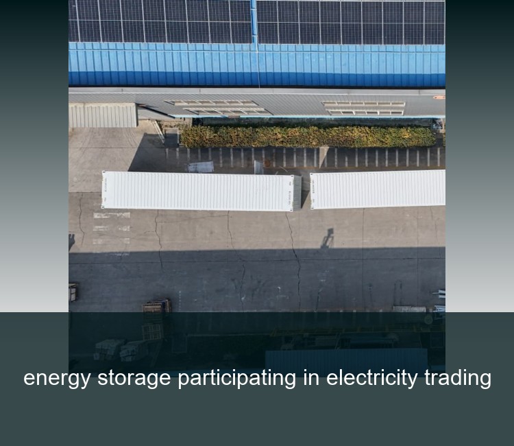 energy storage participating in electricity trading