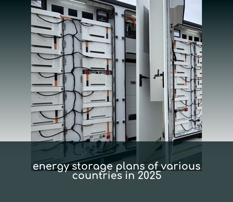 energy storage plans of various countries in 2025