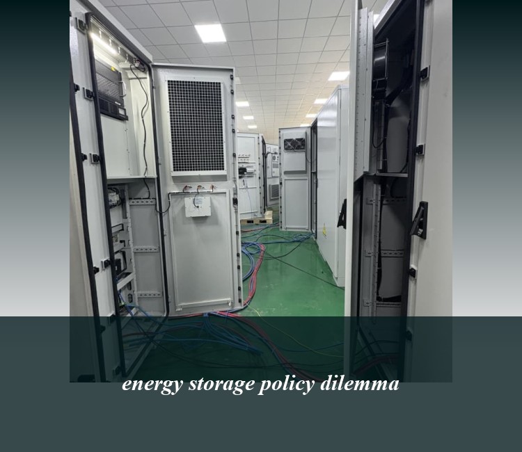energy storage policy dilemma