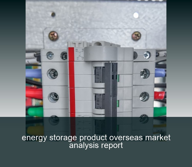 energy storage product overseas market analysis report