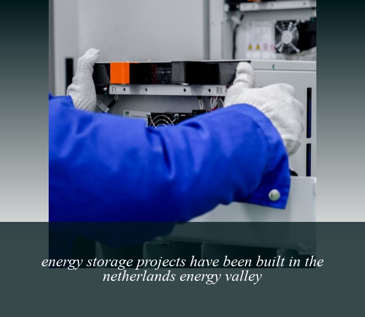 energy storage projects have been built in the netherlands energy valley