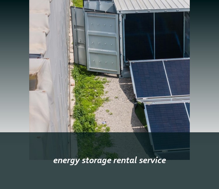 energy storage rental service