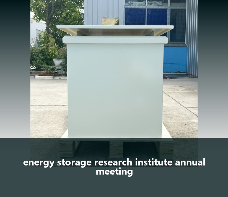 energy storage research institute annual meeting