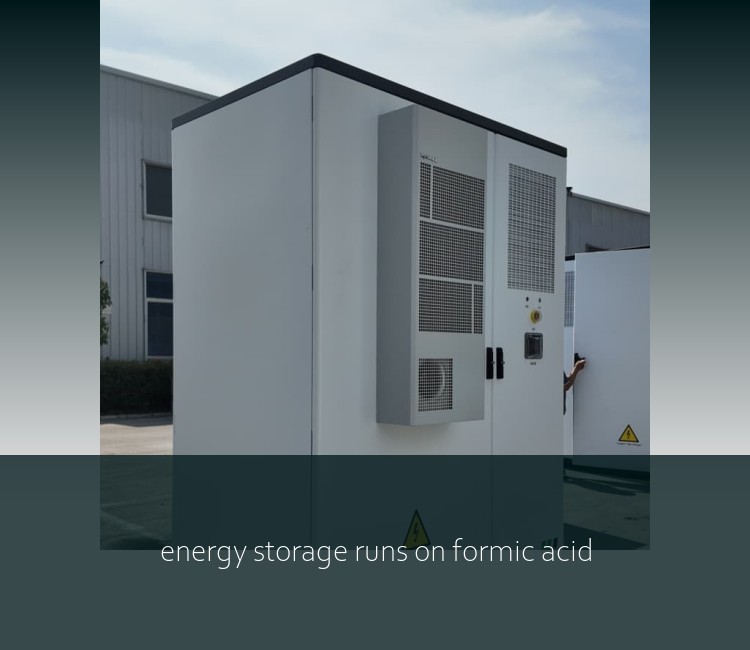 energy storage runs on formic acid
