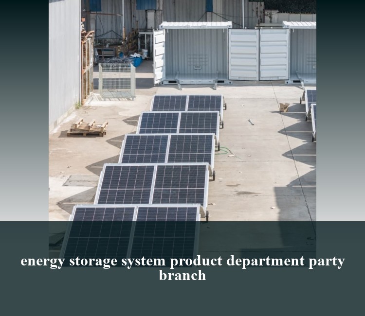 energy storage system product department party branch