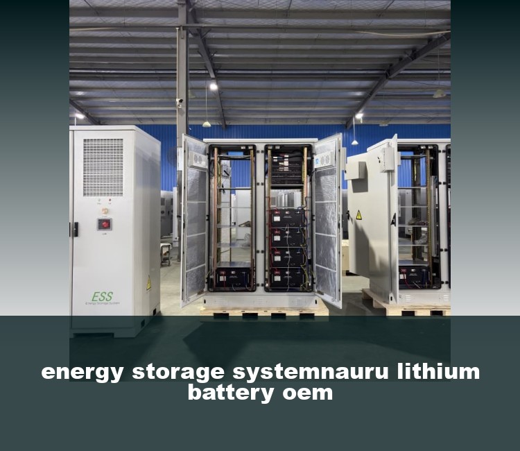 energy storage systemnauru lithium battery oem