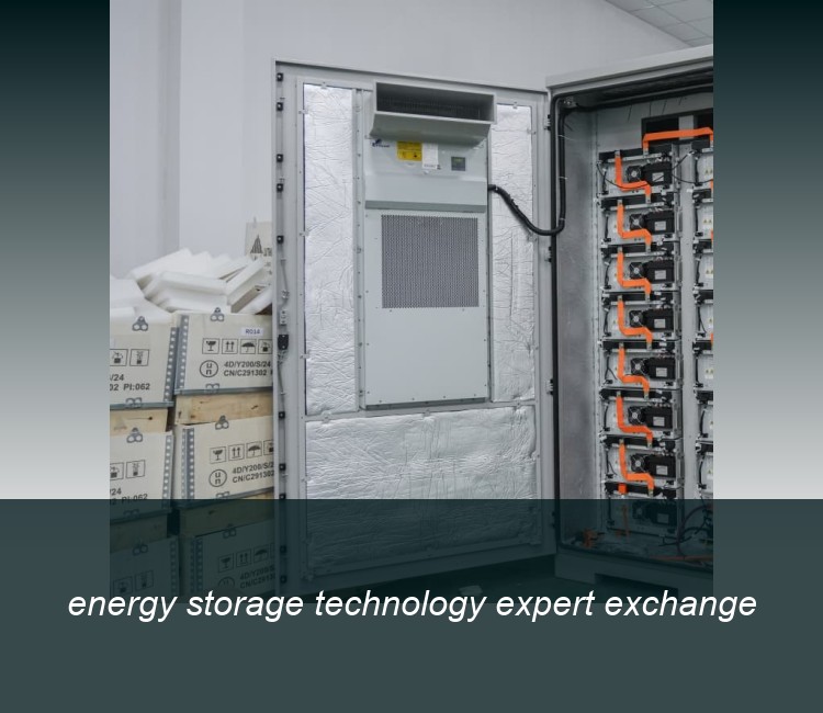 energy storage technology expert exchange