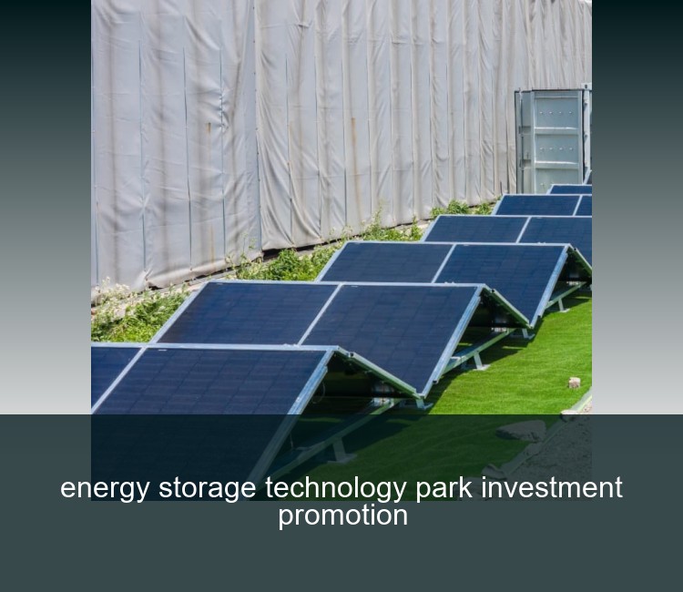 energy storage technology park investment promotion