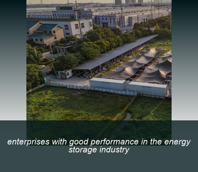 enterprises with good performance in the energy storage industry