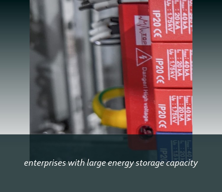 enterprises with large energy storage capacity