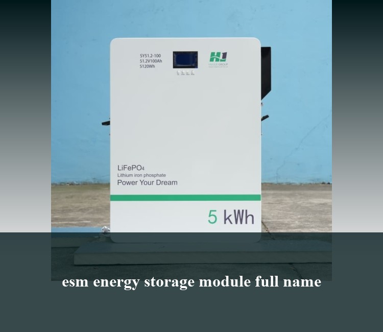 esm energy storage module full name
