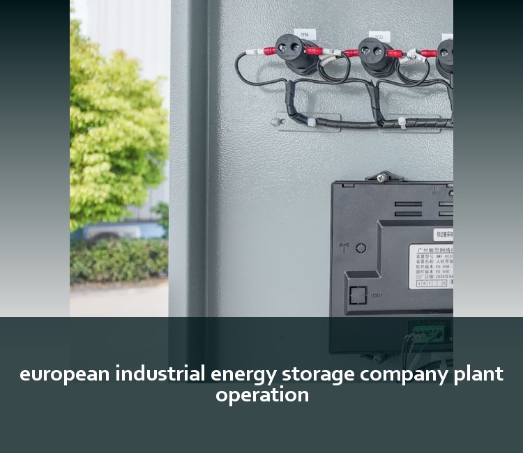 european industrial energy storage company plant operation