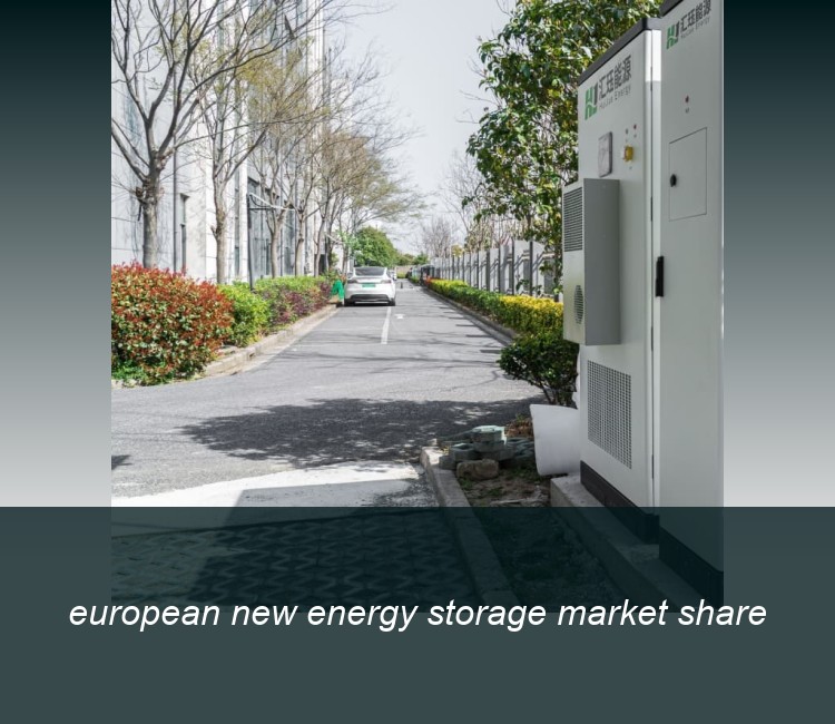 european new energy storage market share