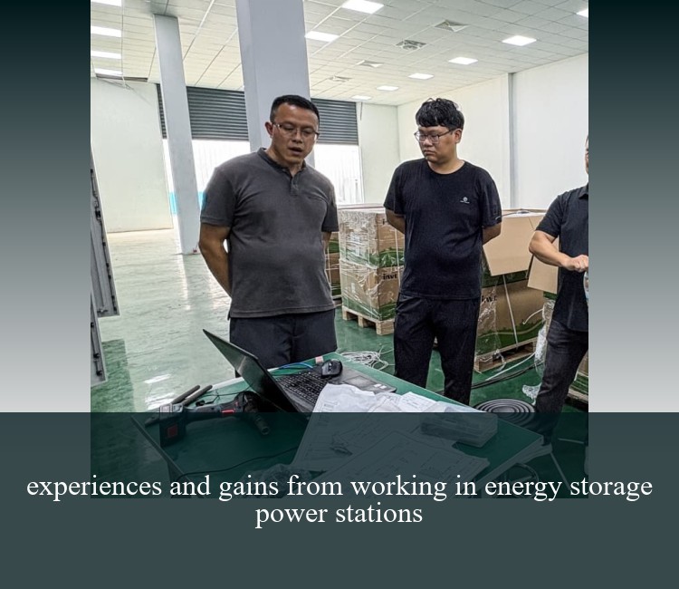 experiences and gains from working in energy storage power stations