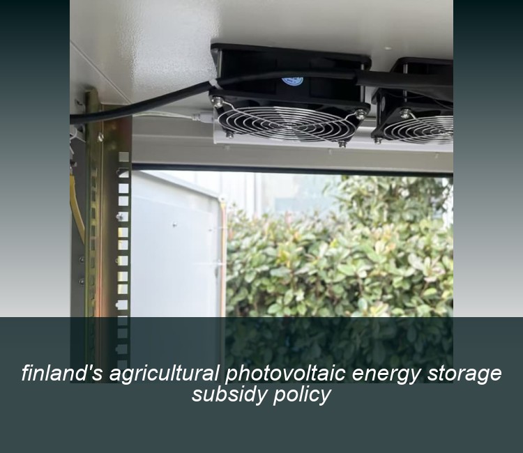 finland's agricultural photovoltaic energy storage subsidy policy