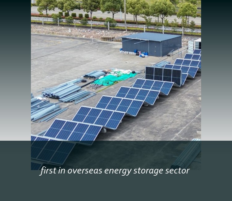 first in overseas energy storage sector