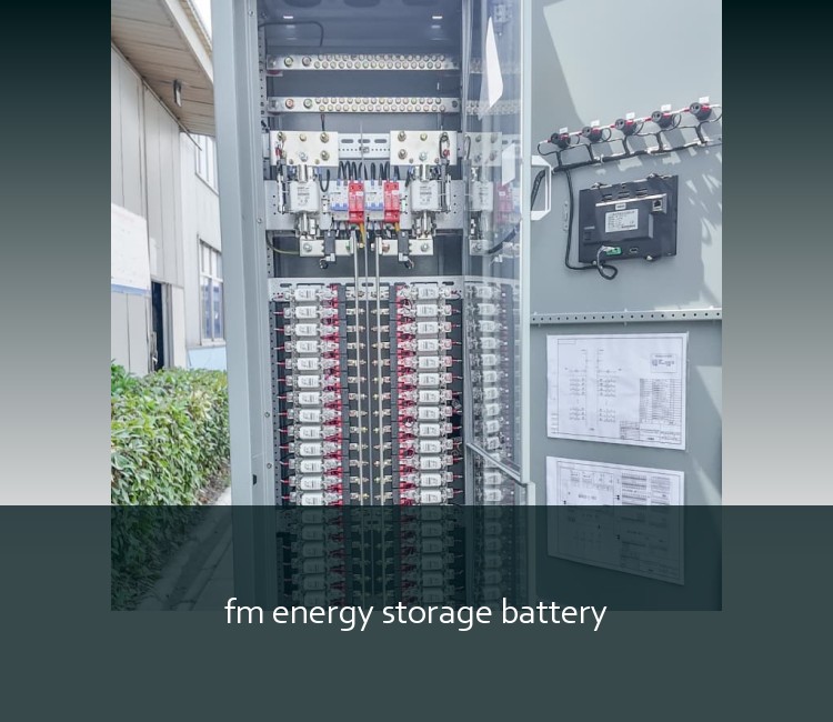 fm energy storage battery
