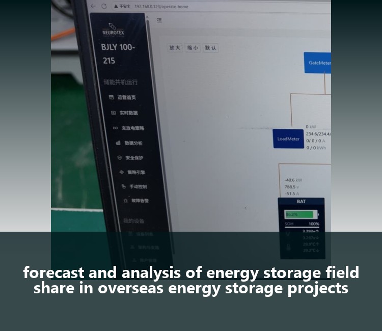 forecast and analysis of energy storage field share in overseas energy storage projects
