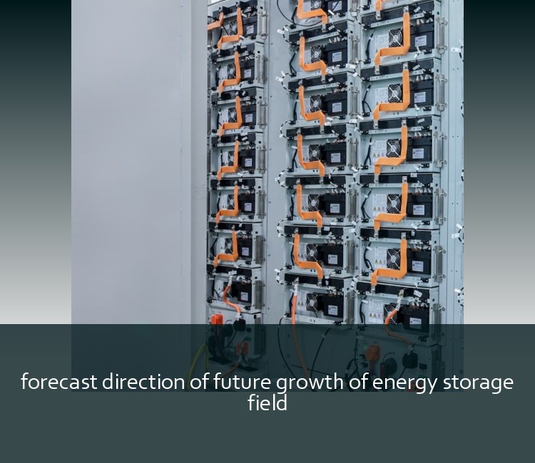 forecast direction of future growth of energy storage field