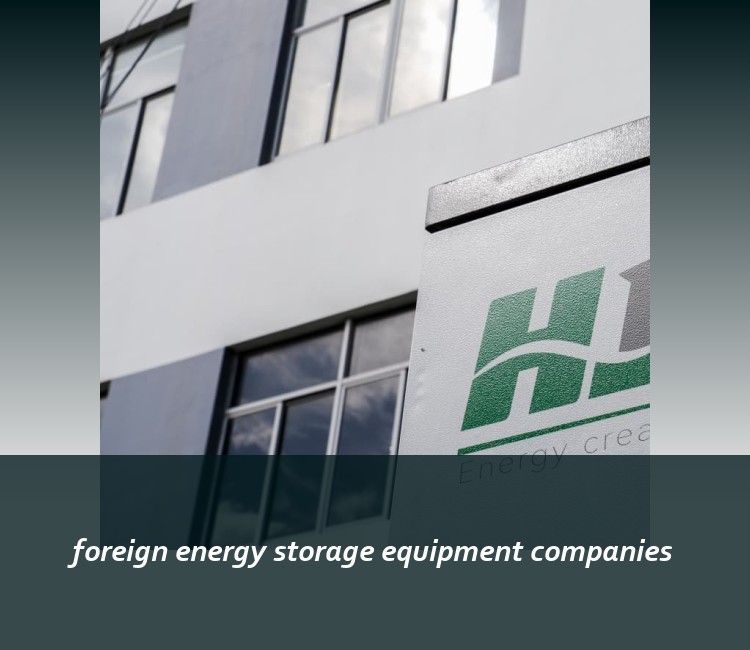 foreign energy storage equipment companies