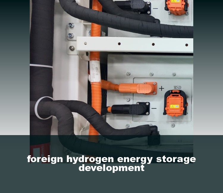 foreign hydrogen energy storage development