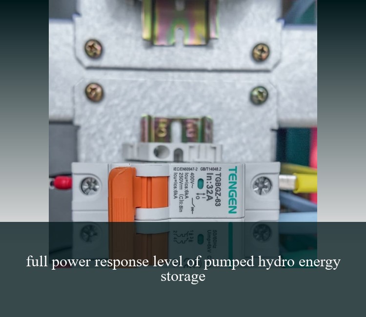 full power response level of pumped hydro energy storage