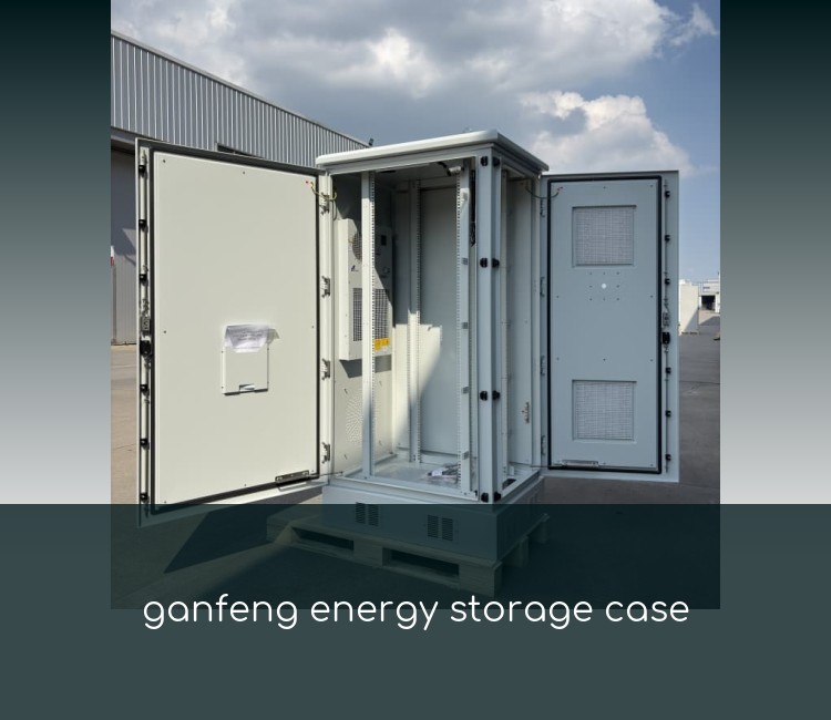 ganfeng energy storage case