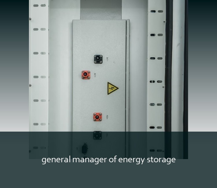 general manager of energy storage