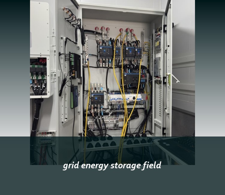 grid energy storage field