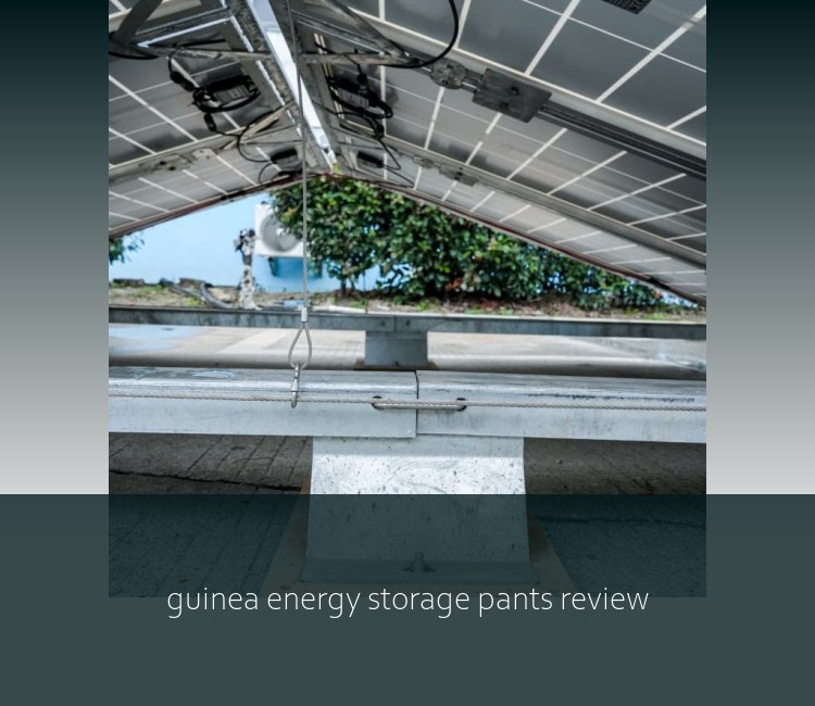 guinea energy storage pants review