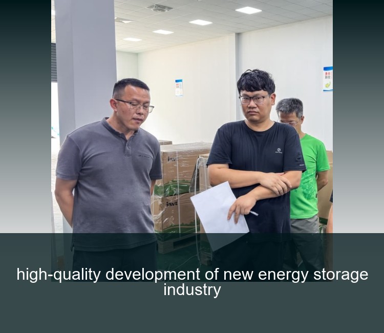 high-quality development of new energy storage industry