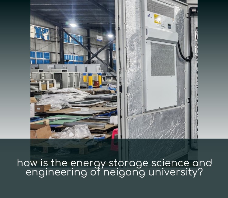 how is the energy storage science and engineering of neigong university?