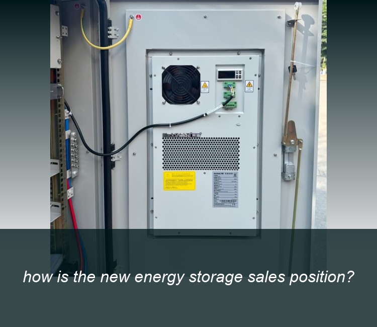 how is the new energy storage sales position?
