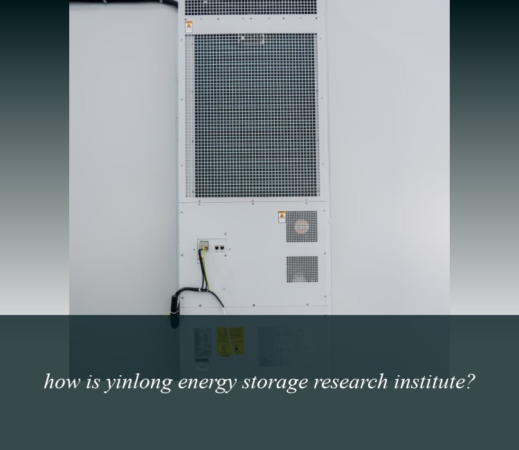 how is yinlong energy storage research institute?