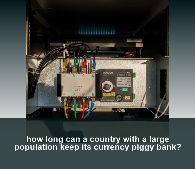 how long can a country with a large population keep its currency piggy bank?