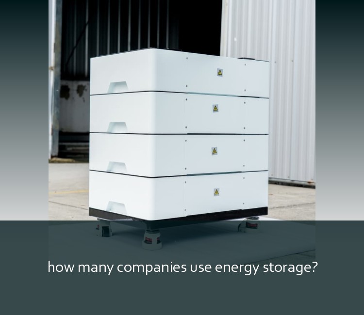how many companies use energy storage?