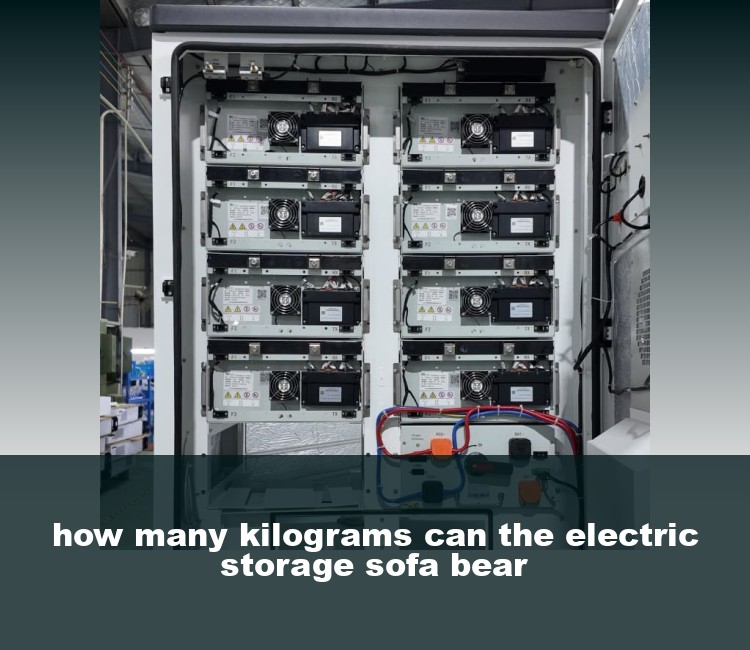 how many kilograms can the electric storage sofa bear