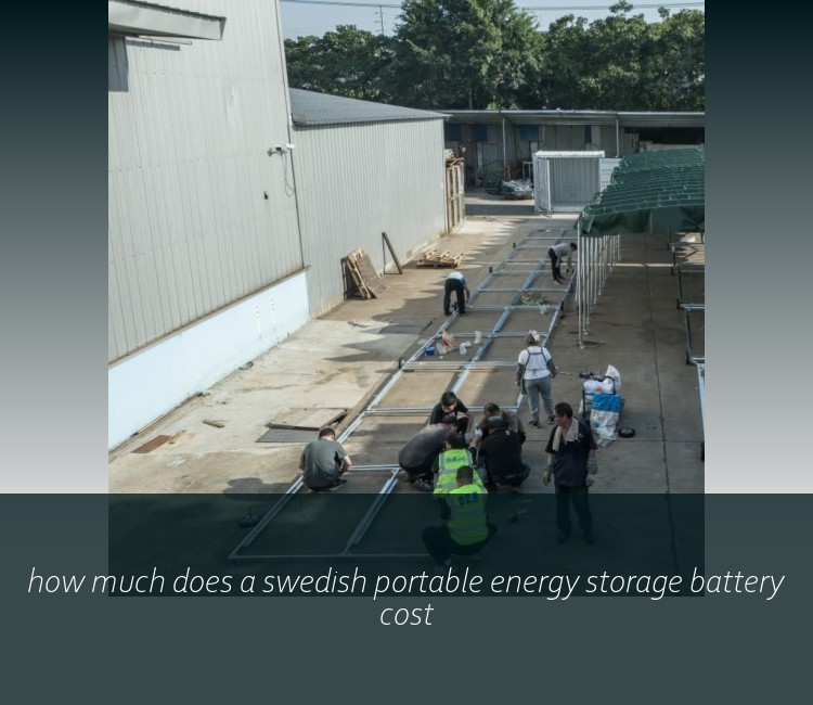 how much does a swedish portable energy storage battery cost