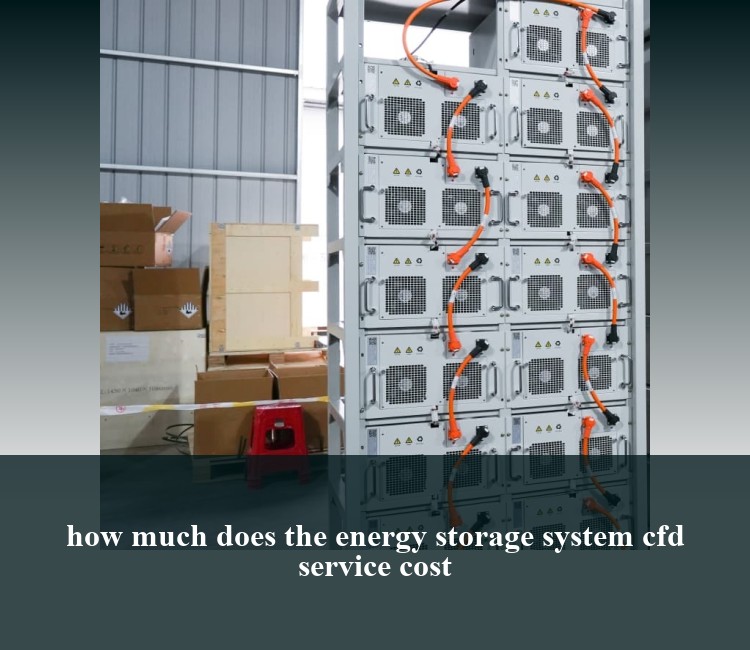 how much does the energy storage system cfd service cost
