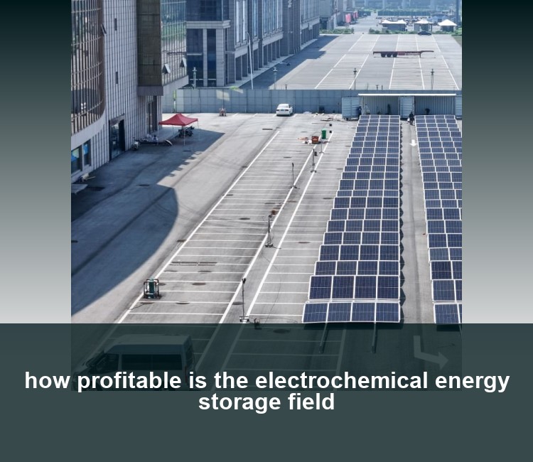 how profitable is the electrochemical energy storage field