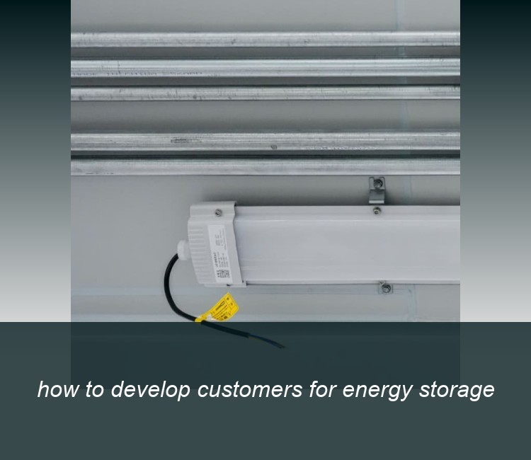 how to develop customers for energy storage